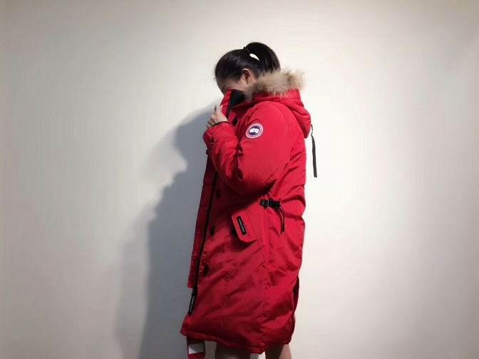 canada goose-019